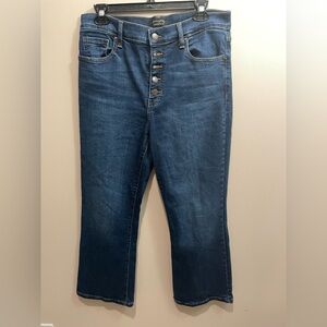 Banana Republic Blue Cropped Bootcut Jeans